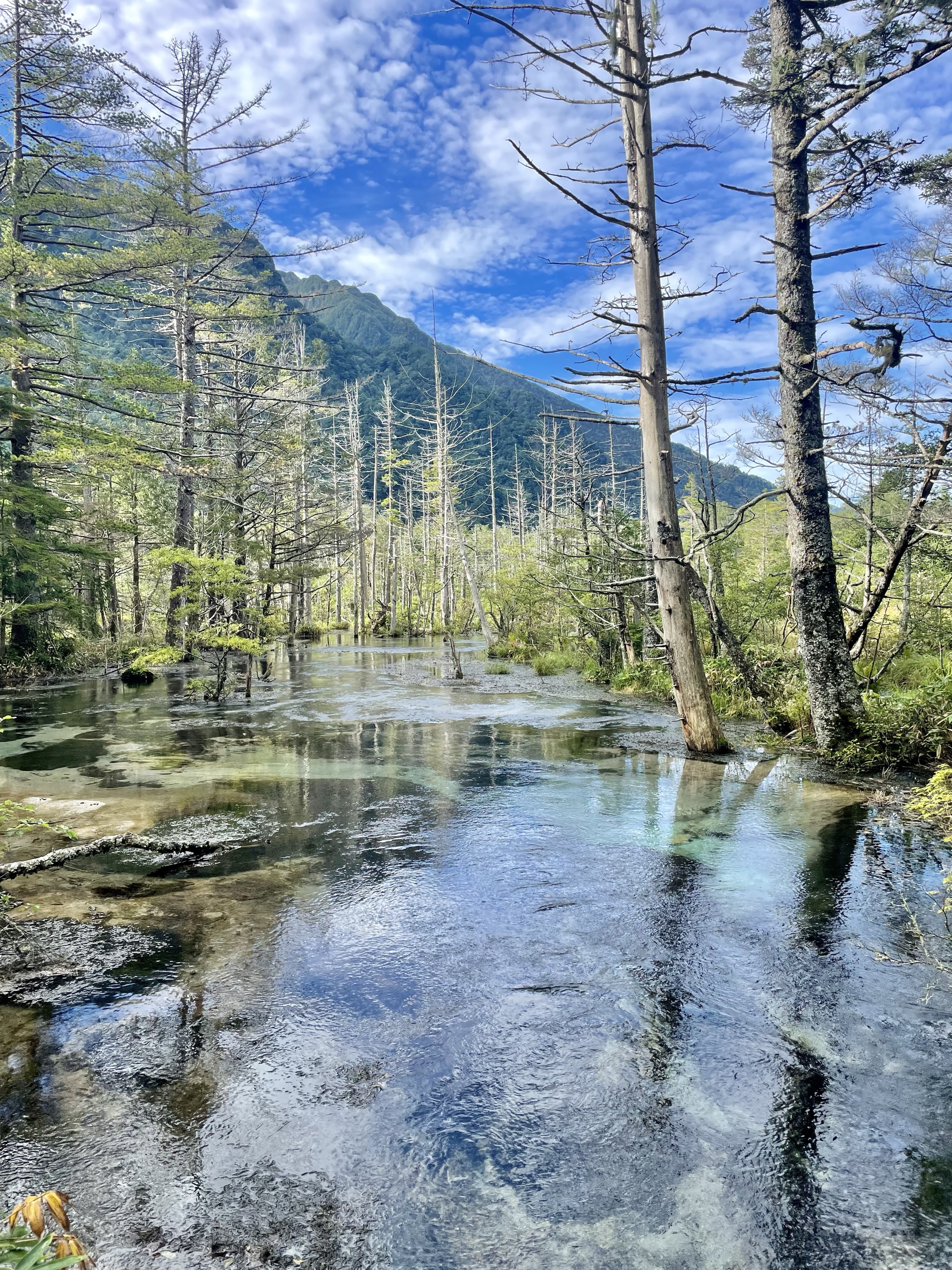 山行写真