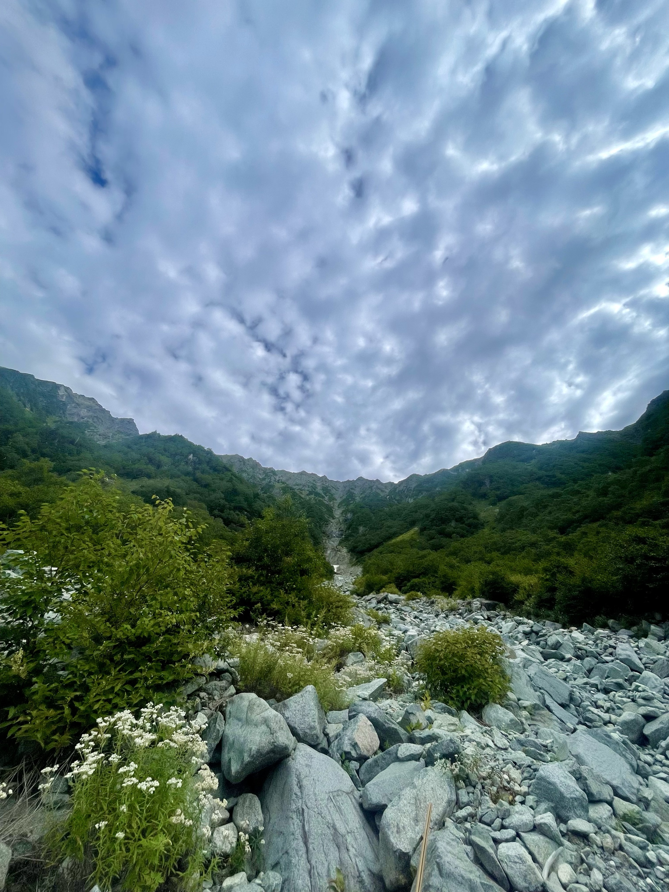 山行写真